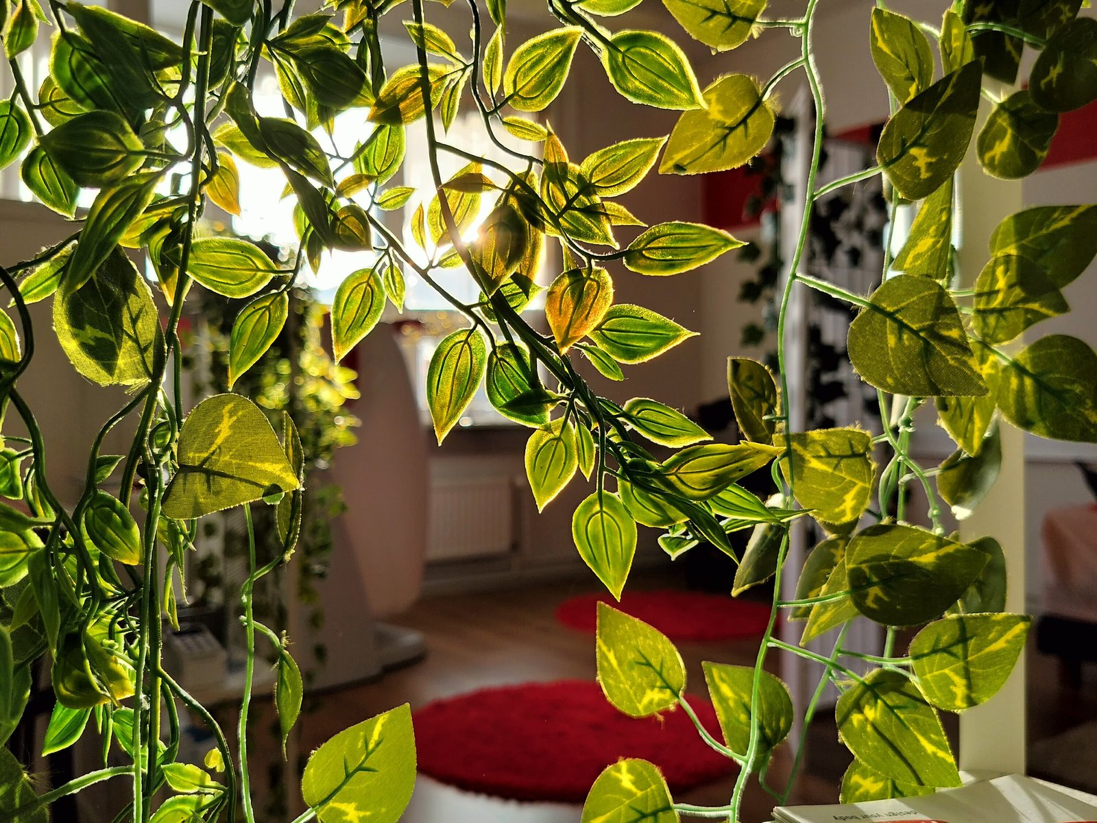 hypohealthkokkola